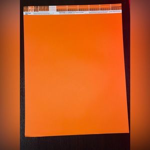 Vintage Pantone by Letraset • Letracolor Color Paper 165U • 26”x20”    *RARE*